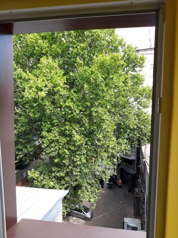 Whole Elite For Rent 1-5 Person On Ave Rustaveli Apartment Tbilisi